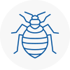 Bed Bug Extermination In Hainault