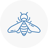Bee Nest Removal Hainault