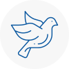 Bird Prevention Hainault