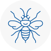 Hainault Hornet Nest Removals