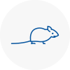 Mice Exterminators In Hainault