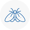 Moth Control Specialists In Hainault