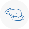 Rat Control Hainault
