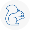 Hainault Rodent Removals