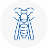 Hainault Wasp Nest Removal